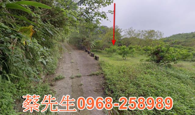 新竹北埔農地法拍-12