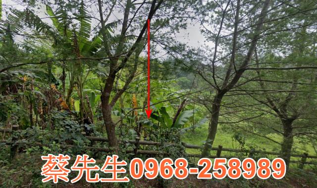 新竹北埔農地法拍-8
