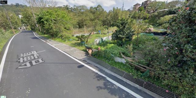 新北農地法拍-12