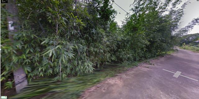 苗栗公館農地法拍-11