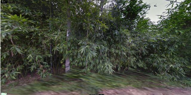 苗栗公館農地法拍-8