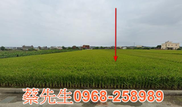 後龍農地法拍-0