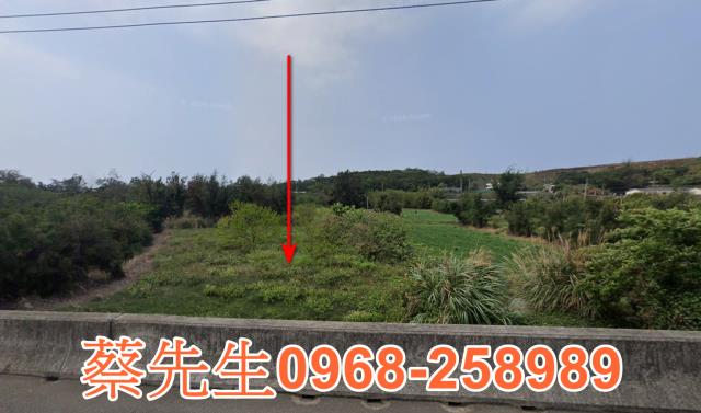 通霄法拍農地-0