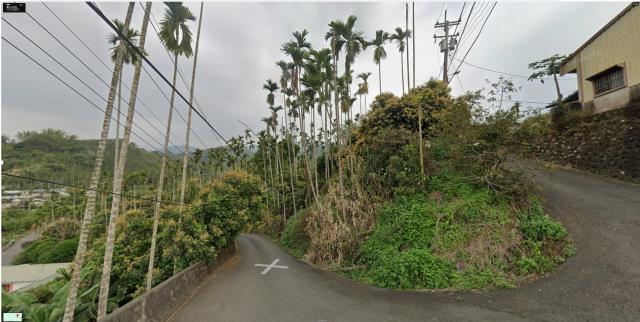 嘉義中埔法拍農地-12