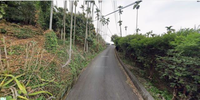 嘉義中埔法拍農地-3