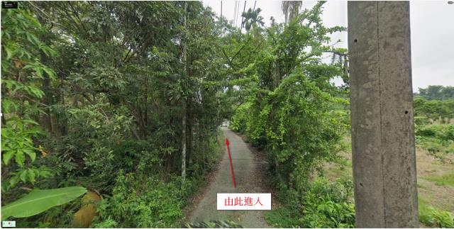 嘉義中埔農地法拍-0