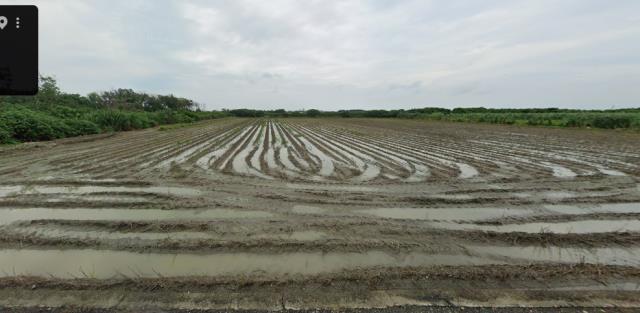 雲林東勢鄉法拍農地-7