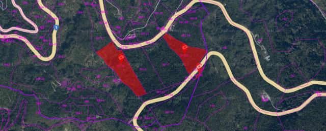 嘉義中埔法拍林地-3