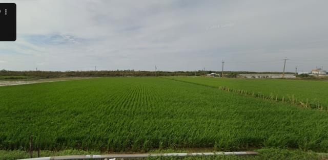 嘉義東石農地法拍-0