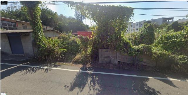 龍井法拍種菜地-7