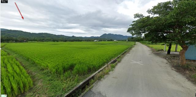 光復農地拍賣-3