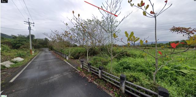 花蓮光復法拍農地-4