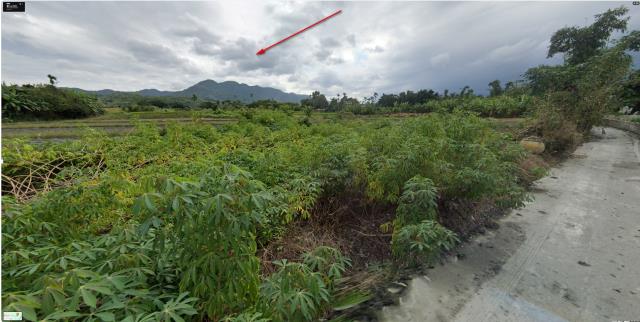 花蓮光復農地拍賣-3