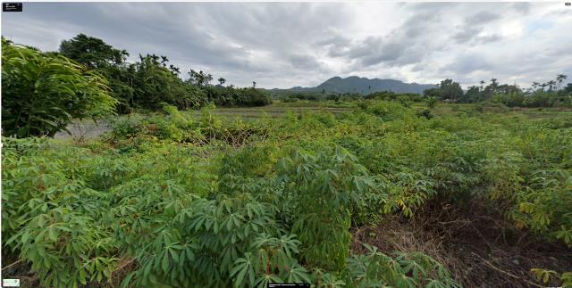 花蓮光復農地拍賣-7
