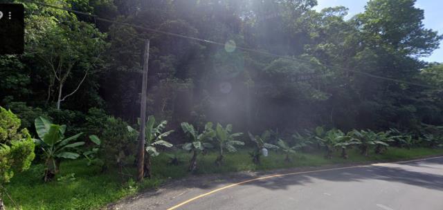 宜蘭拍賣農地-2