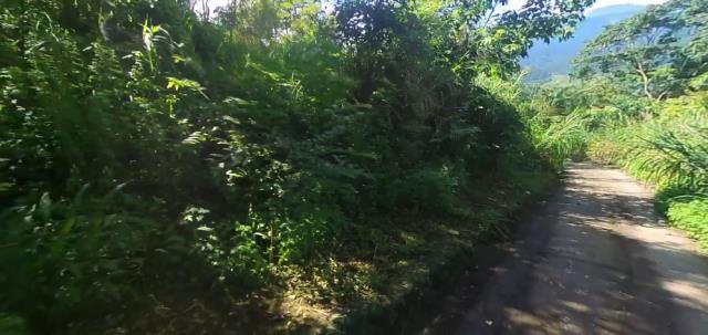 大同農地法拍-2