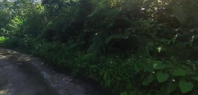 大同農地法拍-8