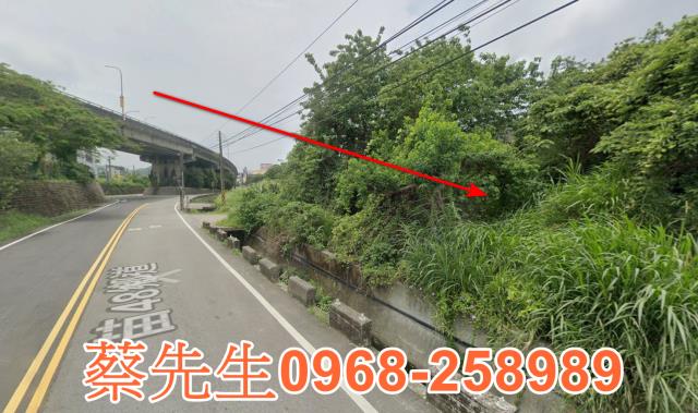 三義農地法拍-3