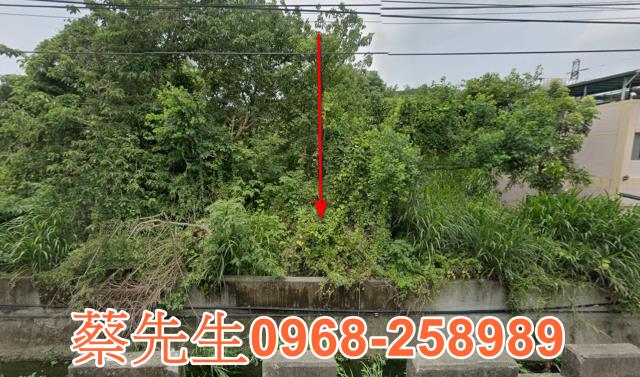 三義農地法拍-8