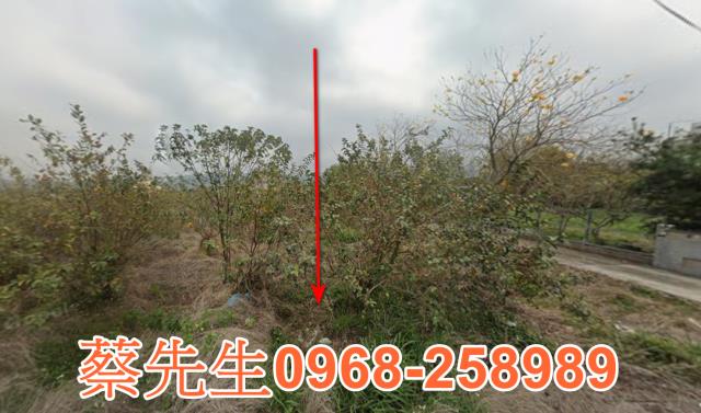 公館法拍農地-8