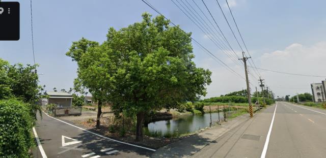 水林法拍建地-8