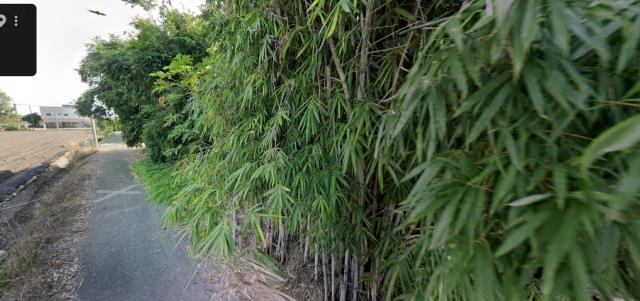 雲林崙背建地法拍-9