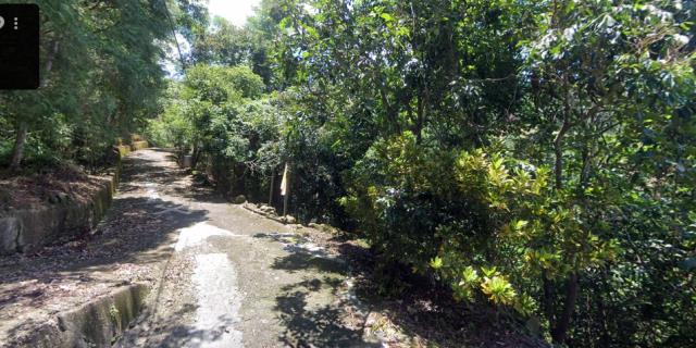 嘉義梅山林地法拍-9