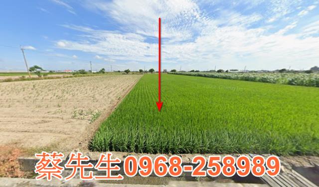 六腳法拍農地-8