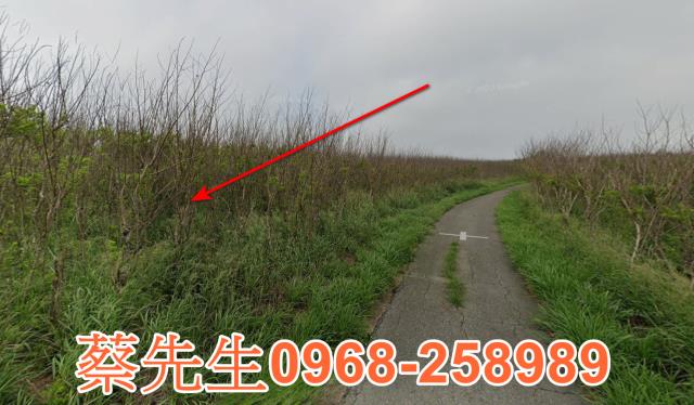 澎湖拍賣農地-11
