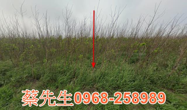 澎湖拍賣農地-0