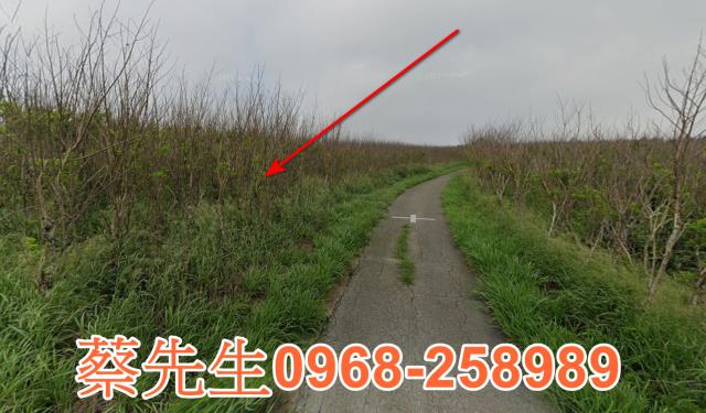 澎湖拍賣農地-4
