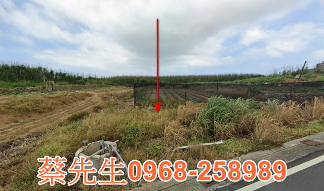 湖西農地法拍-0