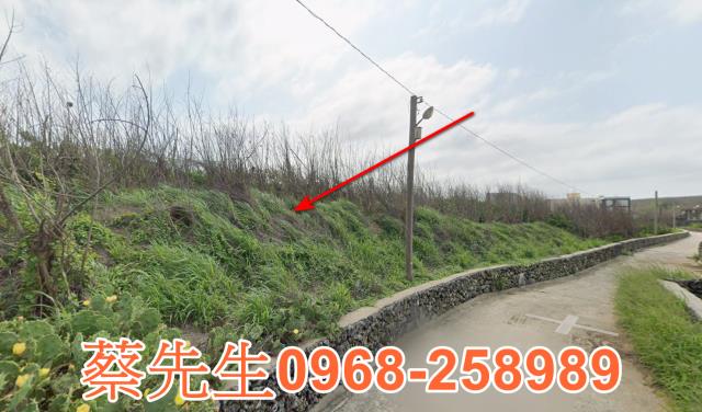 湖西建地法拍-3