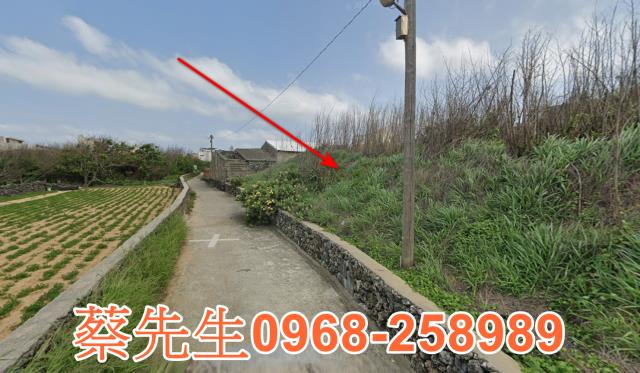 湖西建地法拍-13