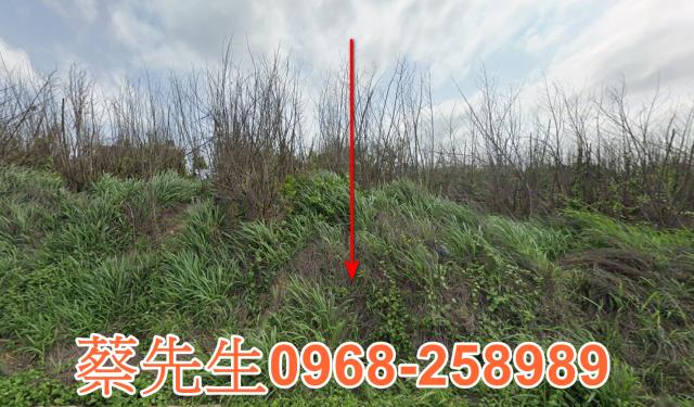湖西建地法拍-0
