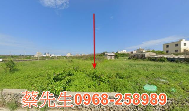 湖西拍賣農地-8
