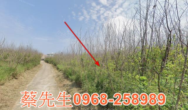 白沙法拍農地-11
