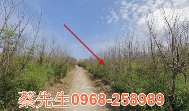 白沙法拍農地-12