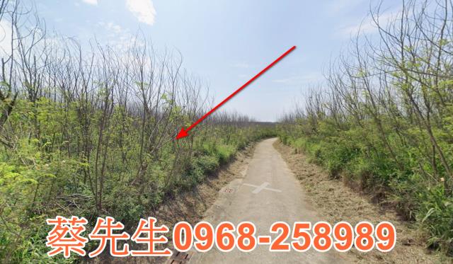 白沙法拍農地-14