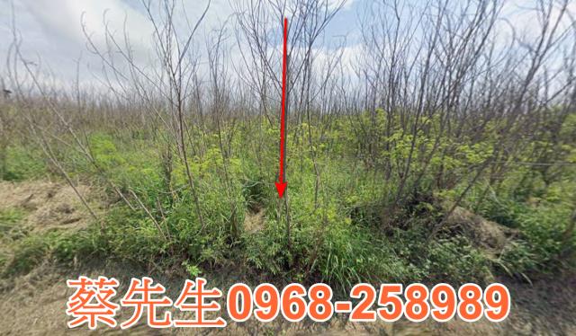 白沙法拍農地-0