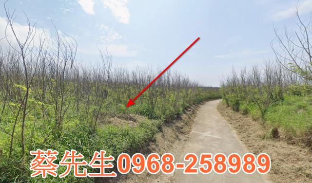 白沙法拍農地-5