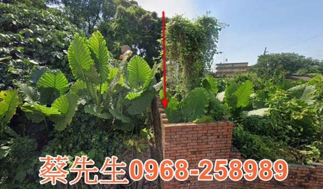 名間建地法拍-4