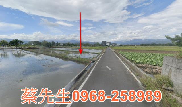 員山農地法拍-14