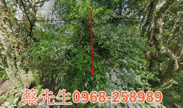 員山拍賣農地-0