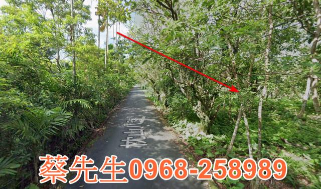 員山拍賣農地-3