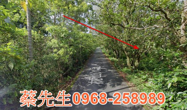 員山拍賣農地-4