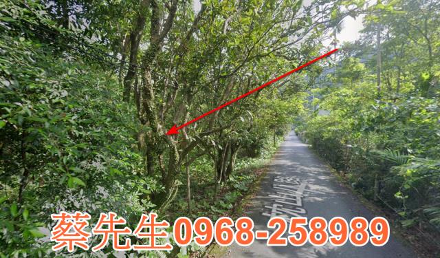 員山拍賣農地-5