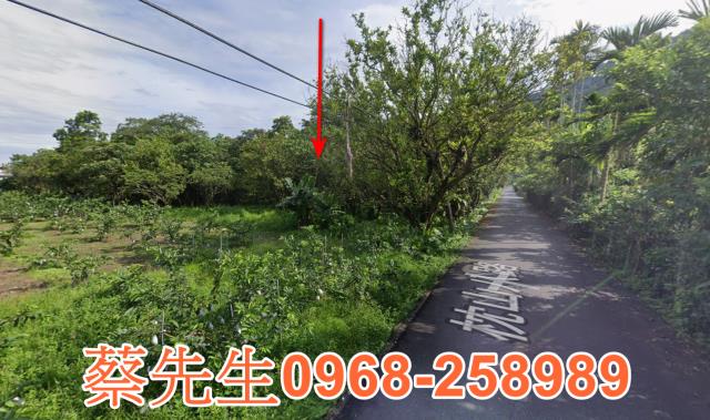員山拍賣農地-6